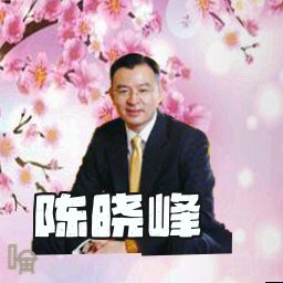 陈晓峰